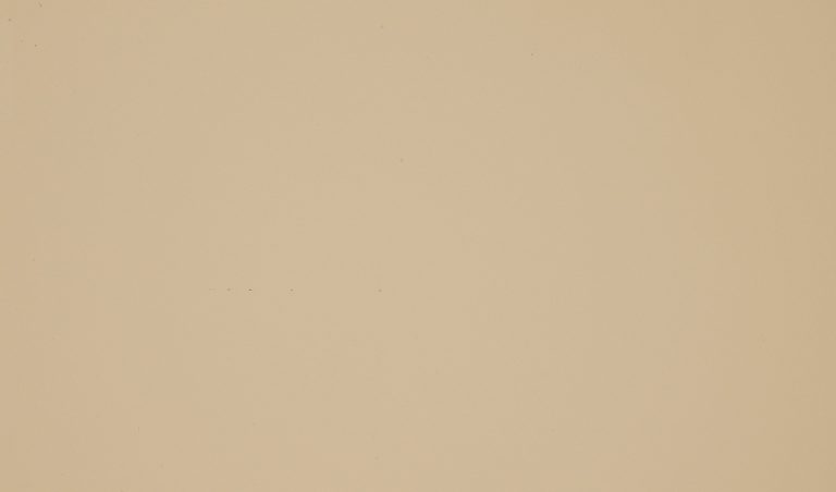Пластик Arpa 0536 Кофе с молоком