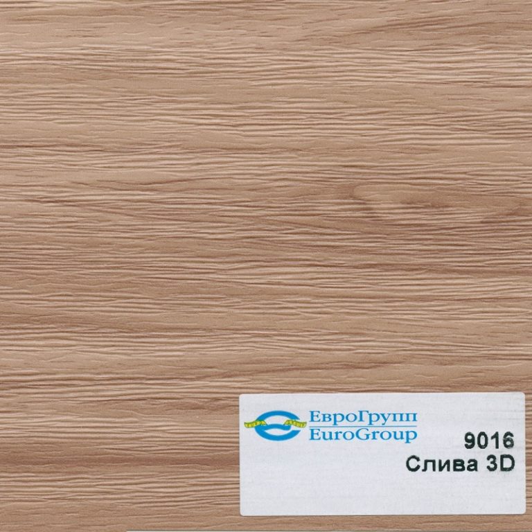 9016 Слива 3D