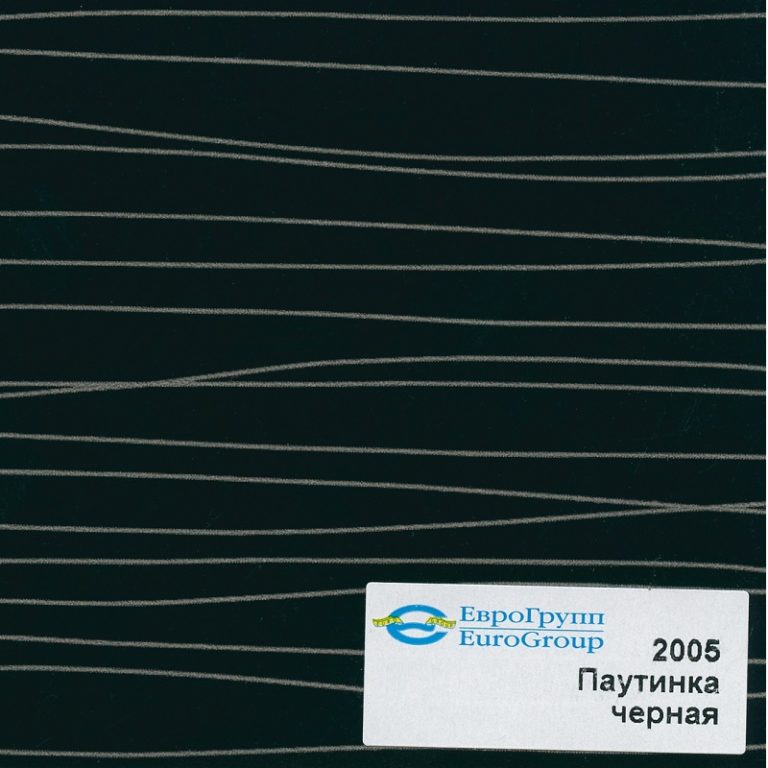 2005 Паутинка черная