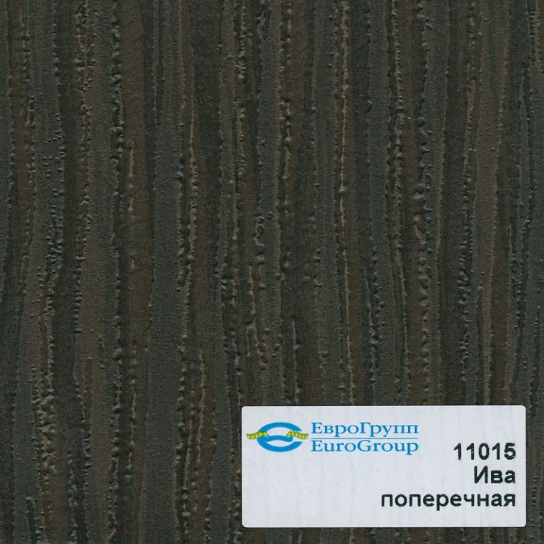 11015 Ива поперечная